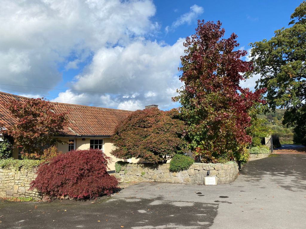 Iwood health, The Lodge