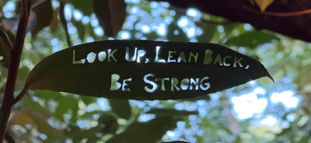 World Mental Health&nbsp;Day